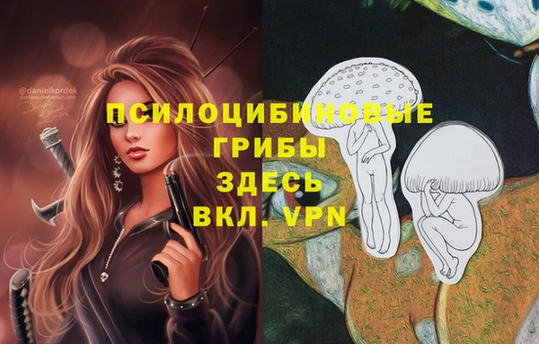 эйфоретик Горняк