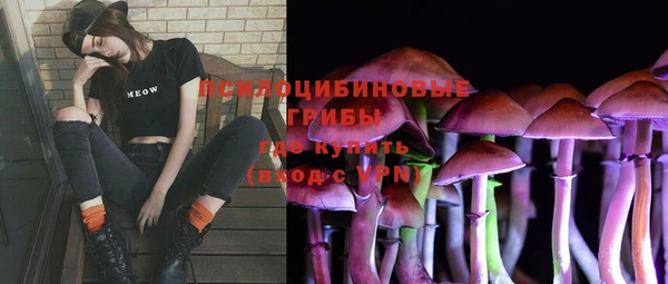 эйфоретик Горняк