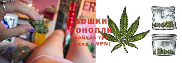 эйфоретик Горняк