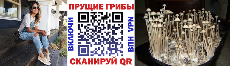 Псилоцибиновые грибы мухоморы  Березники 